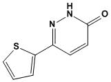 Molecular Structure of 54558-07-5 (6-(2-THIENYL)-3(2H)-PYRIDAZINONE)